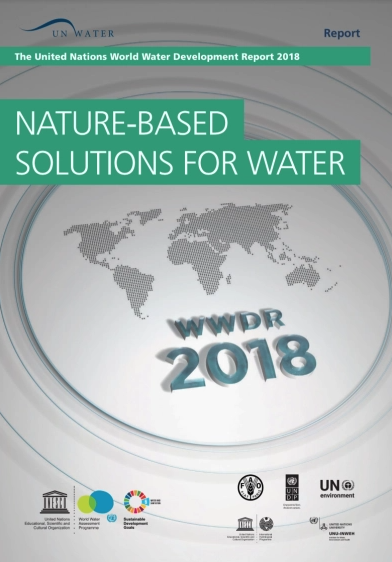 UN Report: Nature-based Solutions for Water