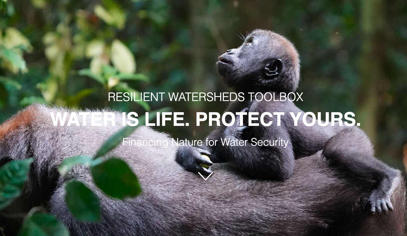 Resilient Watersheds Toolbox