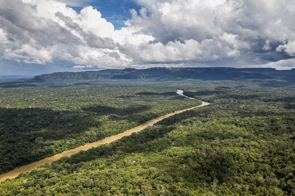 By Erika Nortemann; Aerial view of Sierra de Chiribiquete National Natural Park in Colombia.